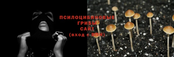 кокс Баксан