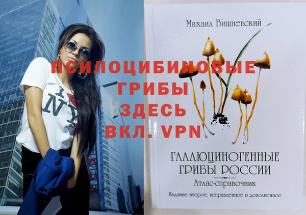 скорость Ахтубинск